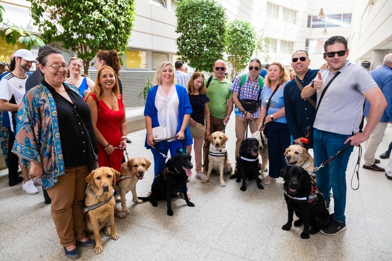 Exhibición de perros guía en Sevilla