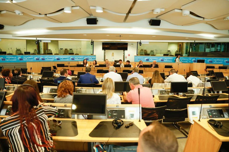 Toda la delegación en el Comité Económico y Social  durante una sesión de trabajo