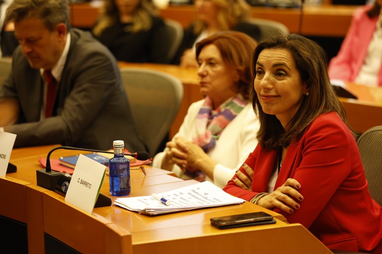Cristina Barreto durante la presentación del documento en la sede del PE