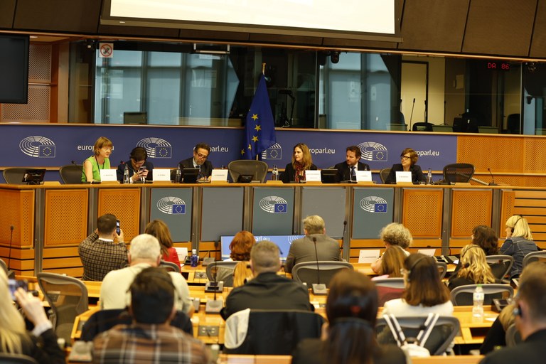 Momento de la exposición de Alberto Durán junto a los responsables europeos de las propuestas para la presidencia española