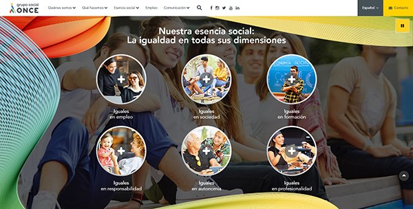 Pantallazo áreas de acción
