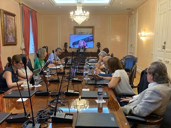 Intervención online de Virginia