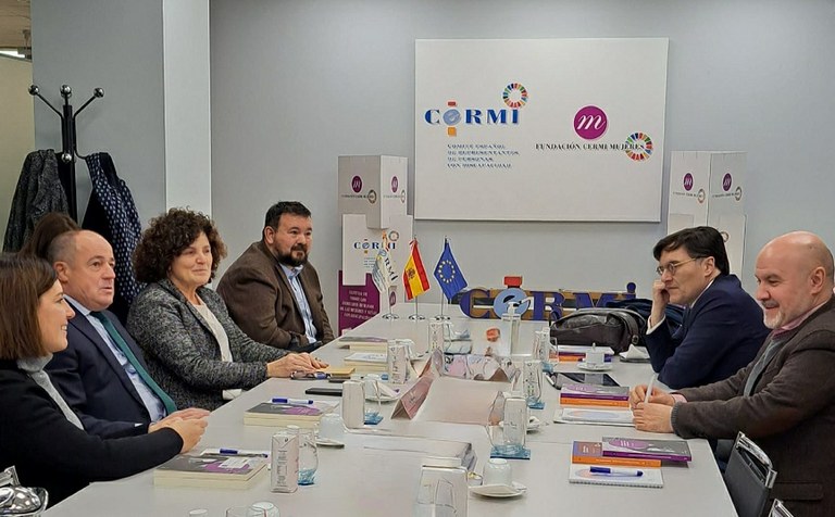 Momento de la reunión entre el CERMI y el grupo socialista