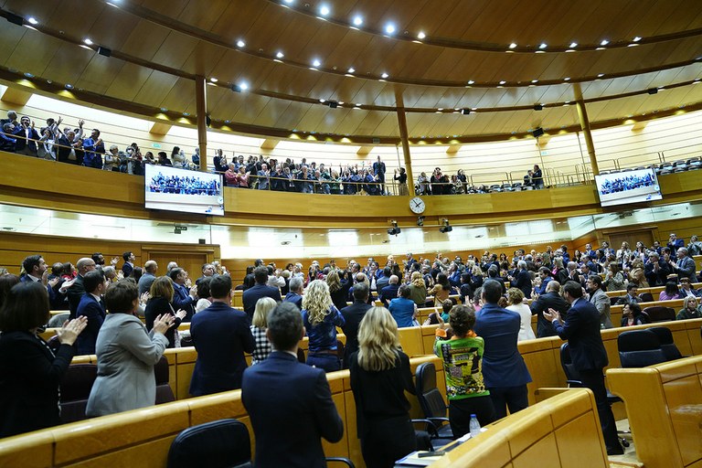 Los diputados aplauden hacia la grada de representantes de la discapacidad tras la aprobación