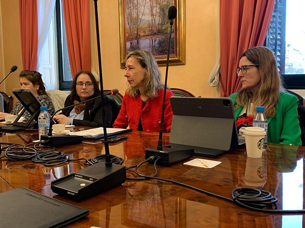 Representantes del Consejo General en el Pleno