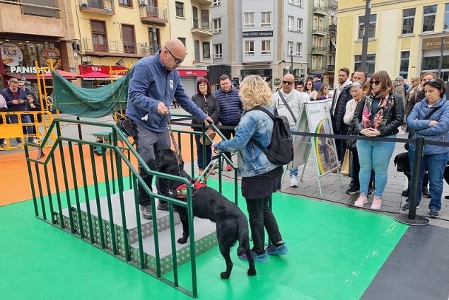 Otro momento de la exhibición en la zona de rampa y escalera