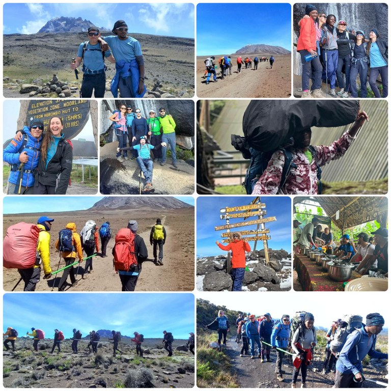 Collage con varios momentos de la expedición