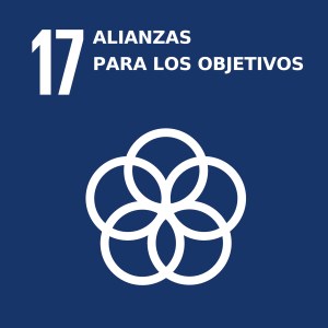 Logo ODS 17