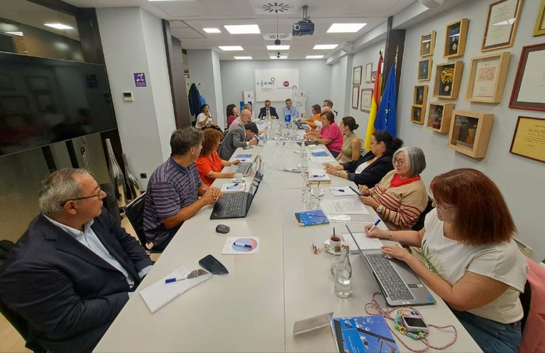 Reunión del Comité Estatal del CERMI en Madrid