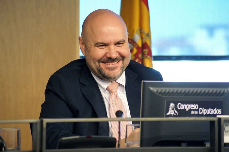 Luis Cayo Pérez Bueno, en una anterior comparecencia en el Congreso | Foto de Jorge Villa