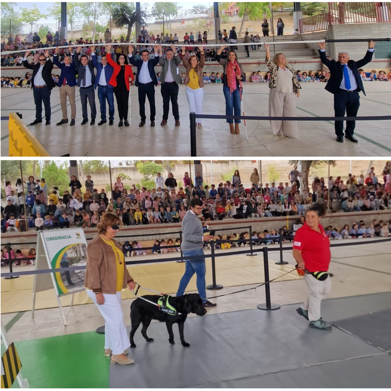 Momento del montaje del bastón blanco gigante. Abajo, exhibición de perros guía