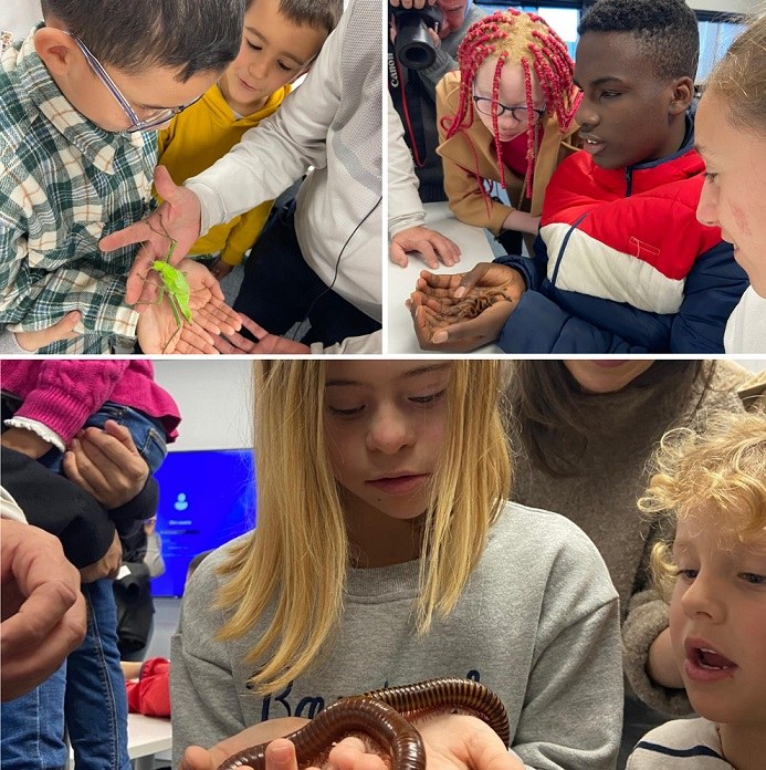 Niños y niñas ciegos tocando una tarántula, un ciempiés y un insecto hoja