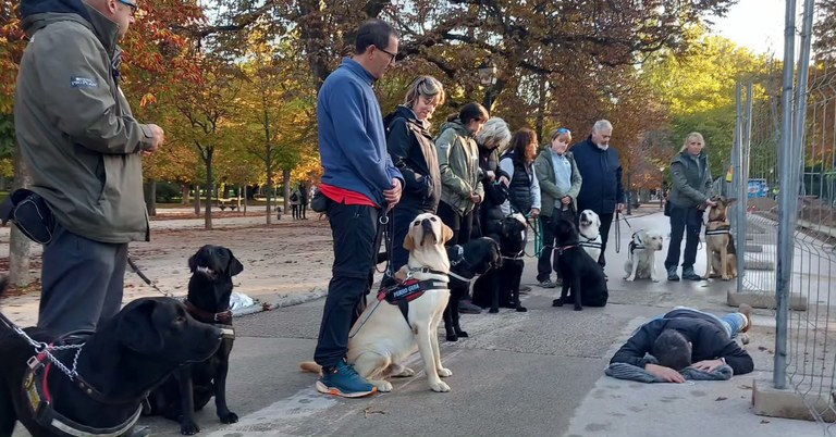 Participantes con sus perros en la iniciativa Paseos Seguros