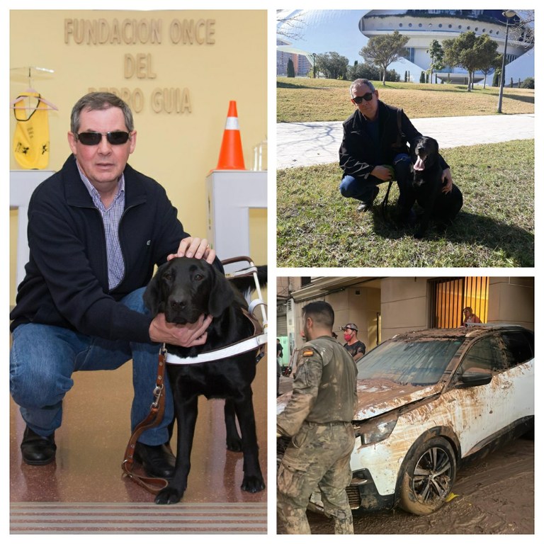 Collage: Emilio Silvestre con Dilma en la Escuela de la FOPG y en el Parque de las Artes y las Ciencias (Valencia) y, en margen inferior derecho, vehículo familiar inutilizado por la Dana 