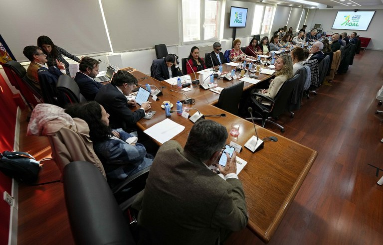 Vista general de la reunión del Patronato de FOAL