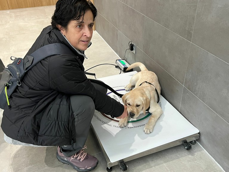 Ana Jarabo pesa a uno de los cachorros de familias educadoras que acuden a las revisiones y supervisiones oportunas