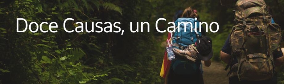 Imagen de la iniciativa 'Doce causas, un camino'