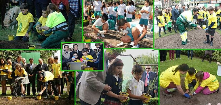 Mosaico de las distintas plantadas por España