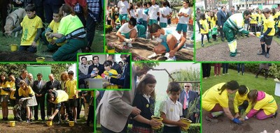 Mosaico de las distintas plantadas por España