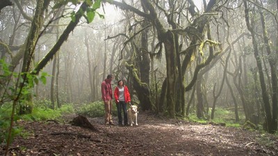 Pili Calvo y Kenzie decubren un bosque tinerfeño