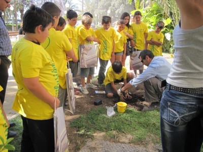Plantada de la Ilusión en Alicante