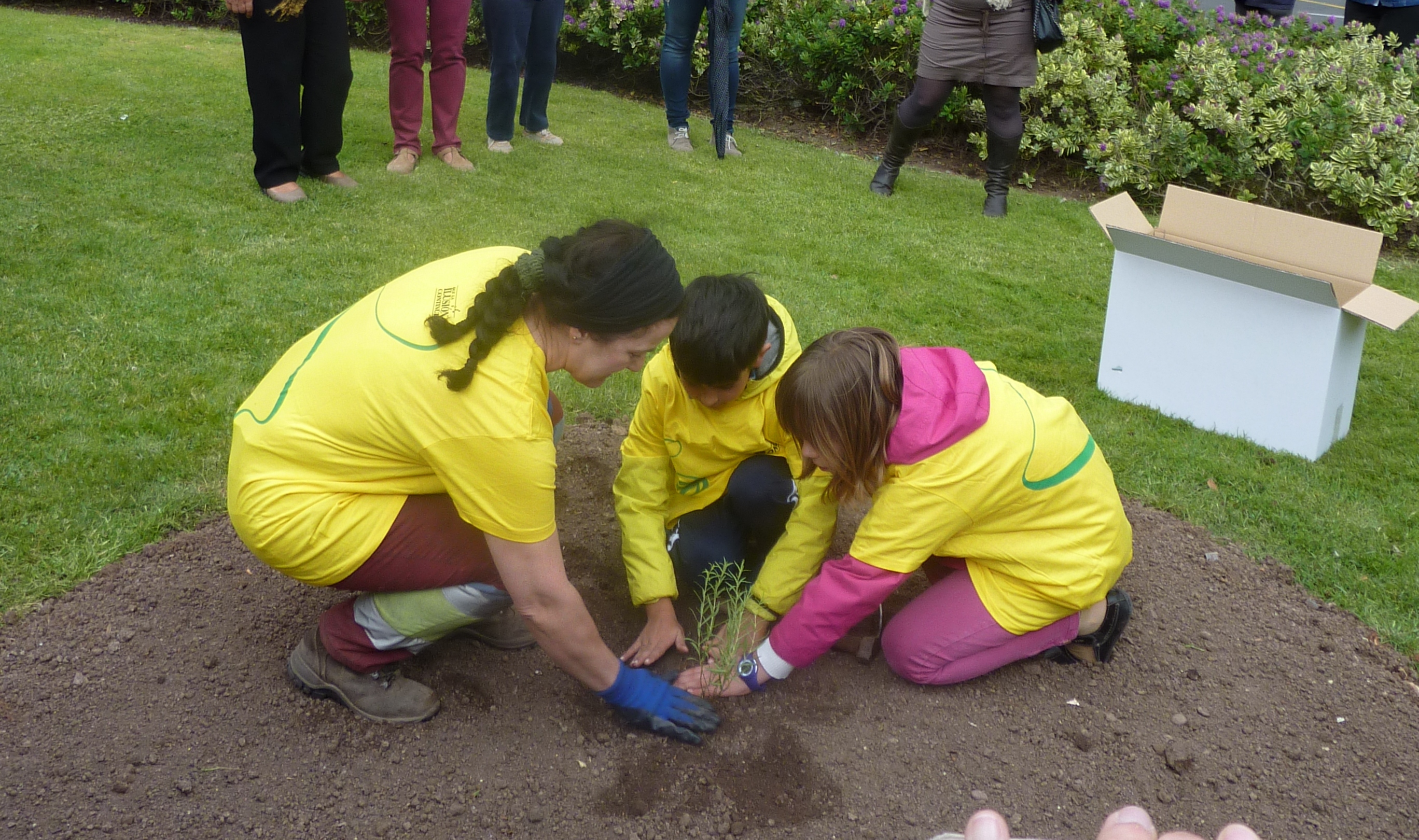 Plantada en La Rioja