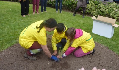 Plantada en La Rioja