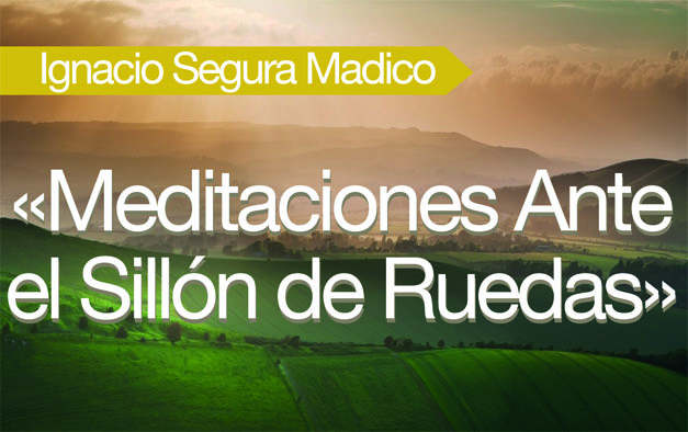 Portada de Meditaciones ante el sillón de ruedas de Segura Mandico