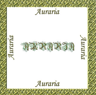 Carátula CD Grupo Auraria
