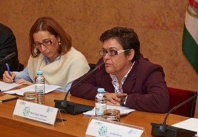 María Íniguez en un momento de su participación durante la conferencia