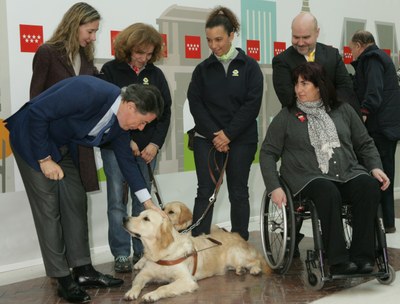 González, acompañado por los representantes de la ONCE y el CERMI, acaricia a uno de los perros guía presente en el acto madrileño