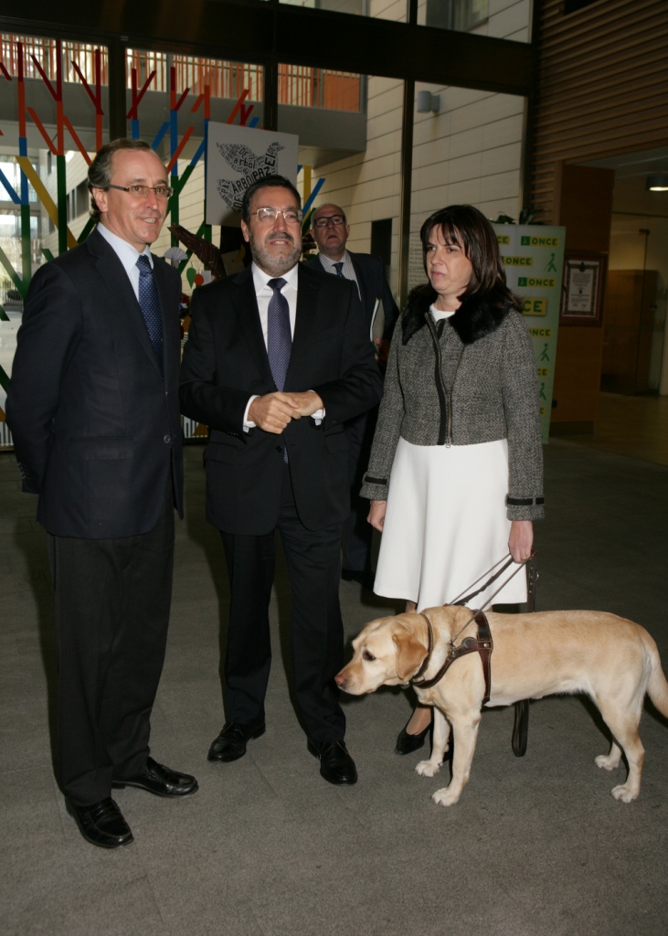 El ministro Alonso, Miguel Carballeda y la directora del CRE, Amparo Cruz, esperan a las puertas del centro la llegada de doña Letizia