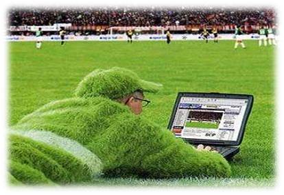 Jugador de apuestas online