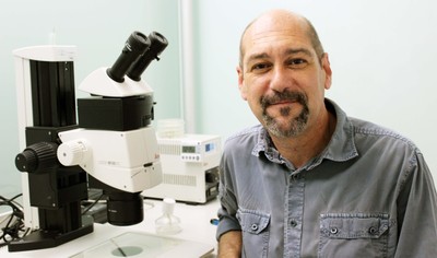 El doctor Millán, en su laboratorio en Valencia