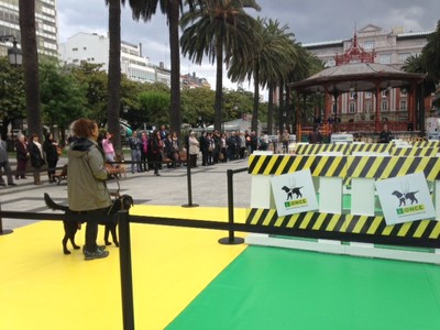 Exhibición de perros guía celebrada con motivo del Día de la ONCE en Galicia