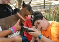 El contacto directo con la naturaleza es uno de los mayores actractivos para los jóvenes