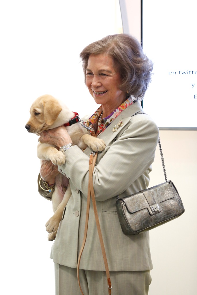 Otro plano de la reina con el cachorro labrador Ófix