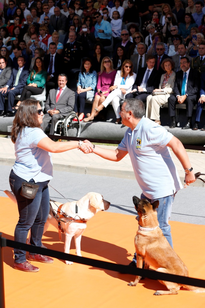 Un momento de la demostración de perros guía durante el acto, con la reina sentada en primera fila de gradas al fondo