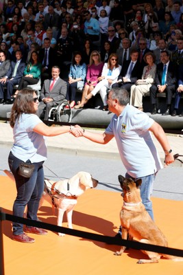 Un momento de la demostración de perros guía durante el acto, con la reina sentada en primera fila de gradas al fondo Un momento de la demostración de perros guía durante el acto, con la reina sentada en primera fila de gradas al fondo
