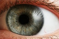 Imagen en primer plano de un ojo con visualización de su retina