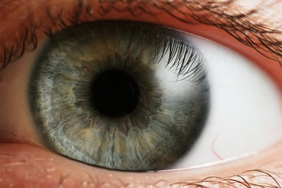 Imagen en primer plano de un ojo con visualización de su retina