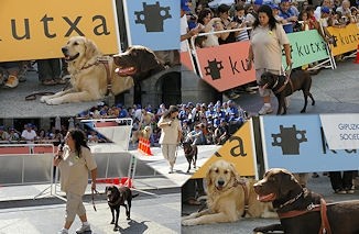 Montaje fotográfico con escenas de una de las habituales exhibiciones del adiestramiento de los perros guía de la FOPG