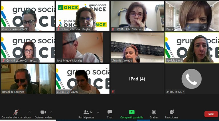 Participantes en el Pleno del Observatorio de Igualdad de Oportunidades