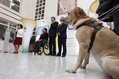 Una bella perspectiva del escenario de presentación del acto, con un perro guía en primer término