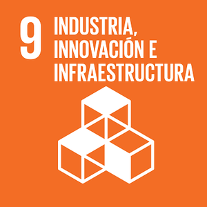 Objetivo 9 ODS