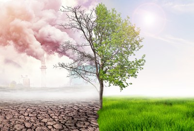 Tierra y árbol enfermando por el cambio climático