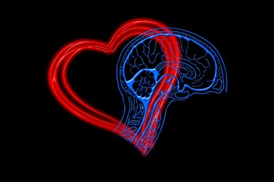 Dibujo silueta corazón y cerebro unidos