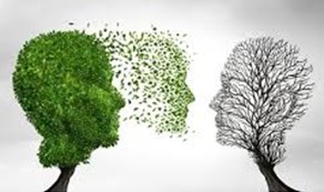 una cabeza verde, poblada, envía su “conocimiento” a una cabeza marrón, seca